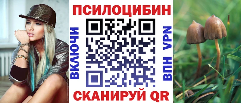 Псилоцибиновые грибы MAGIC MUSHROOMS  где купить наркотик  Барабинск 