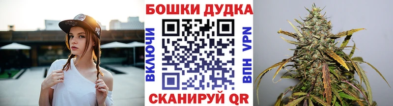 закладка  Барабинск  Канабис план 